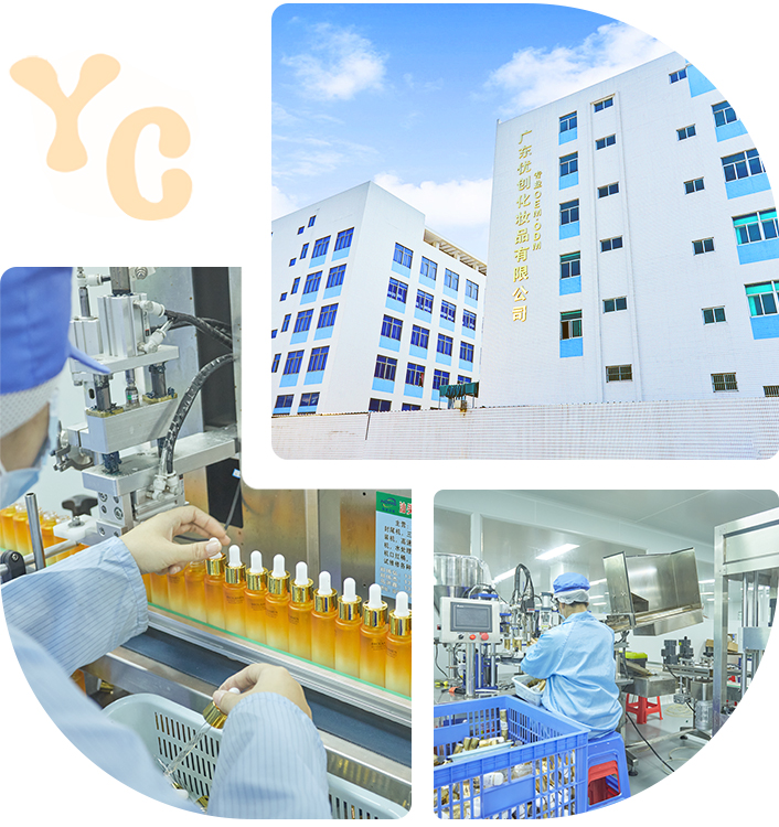 Daily Chemical Products Manufacturer