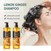 Lemon Ginger Refresh Shampoo – Oil Control, Anti-Dandruff & Repair Hair Shampoo