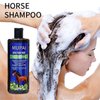 Horse Oil Shampoo – Anti-Dandruff, Oil Control & Repair Shampoo for Smooth, Voluminous Hair