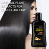 Ginseng Black Hair Care Shampoo – 3-in-1 Nourishing, Strengthening & Oil Control Shampoo