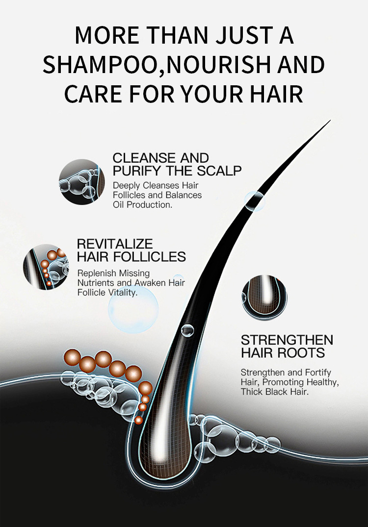 Ginseng Black Hair Care Shampoo – 3-in-1 Nourishing, Strengthening & Oil Control Shampoo (1)