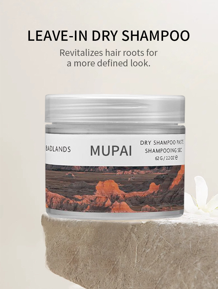 Leave-In Dry Shampoo Spray – Oil Absorbing, Volumizing & Frizz Control Hair Refresher (1)