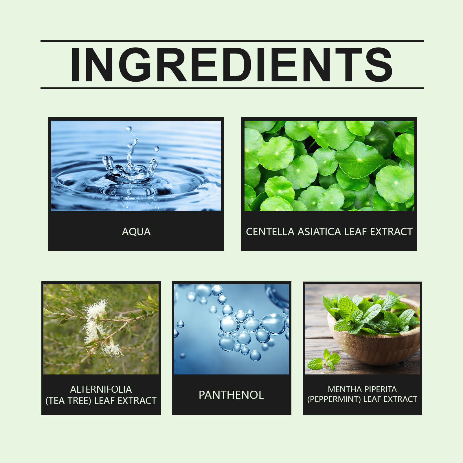 Centella Soothing & Hydrating Toner &ndash; Daily Moisturizing and Skin-Repairing Facial Toner (3)