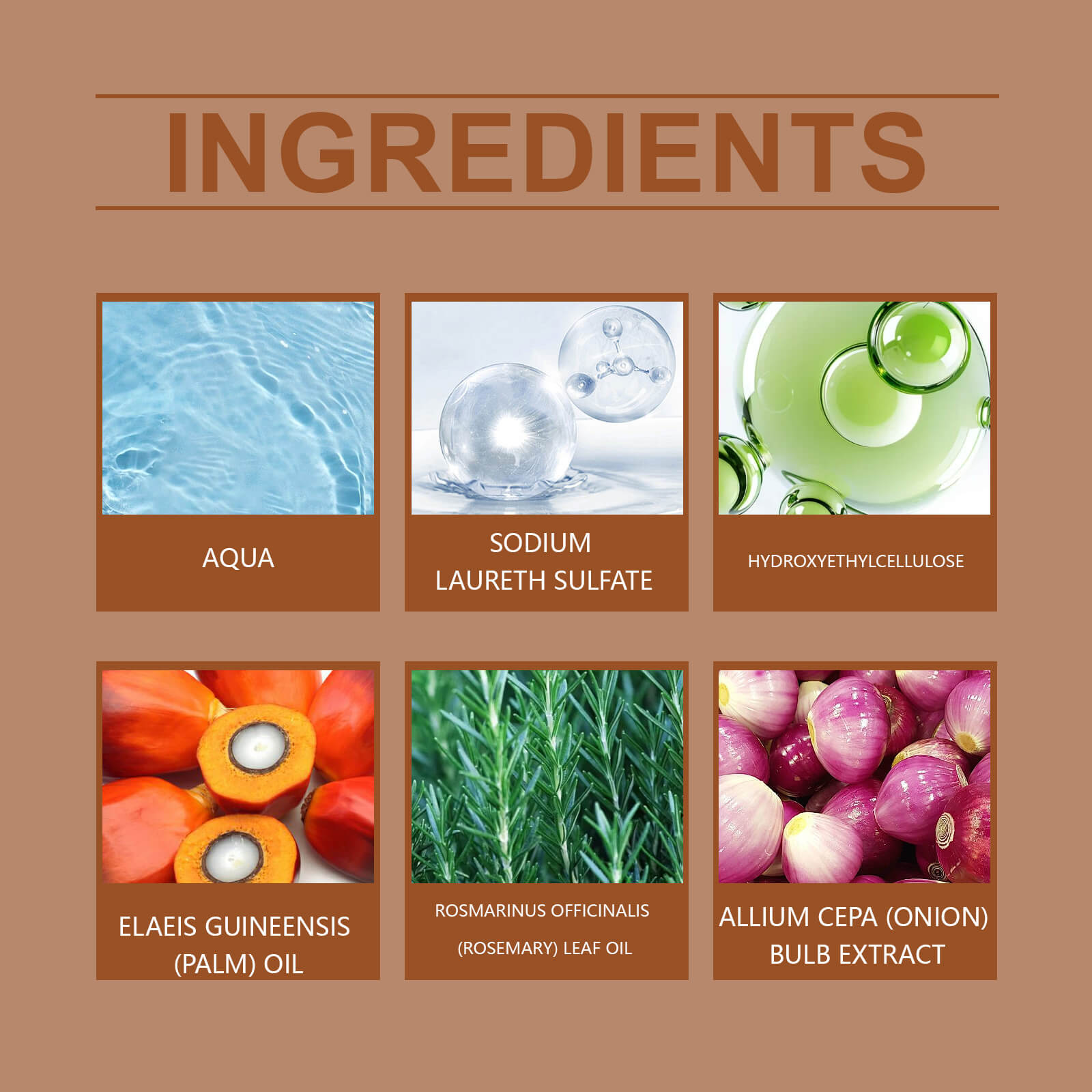 3-in-1 Nourishing Shampoo Scalp Cleansing, Hair Nourishing & Anti-Hair Loss (3)