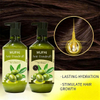 Natural Olive Extract Hair Care Set – Anti-Dandruff Shampoo & Conditioner for Hydration & Hair Growth