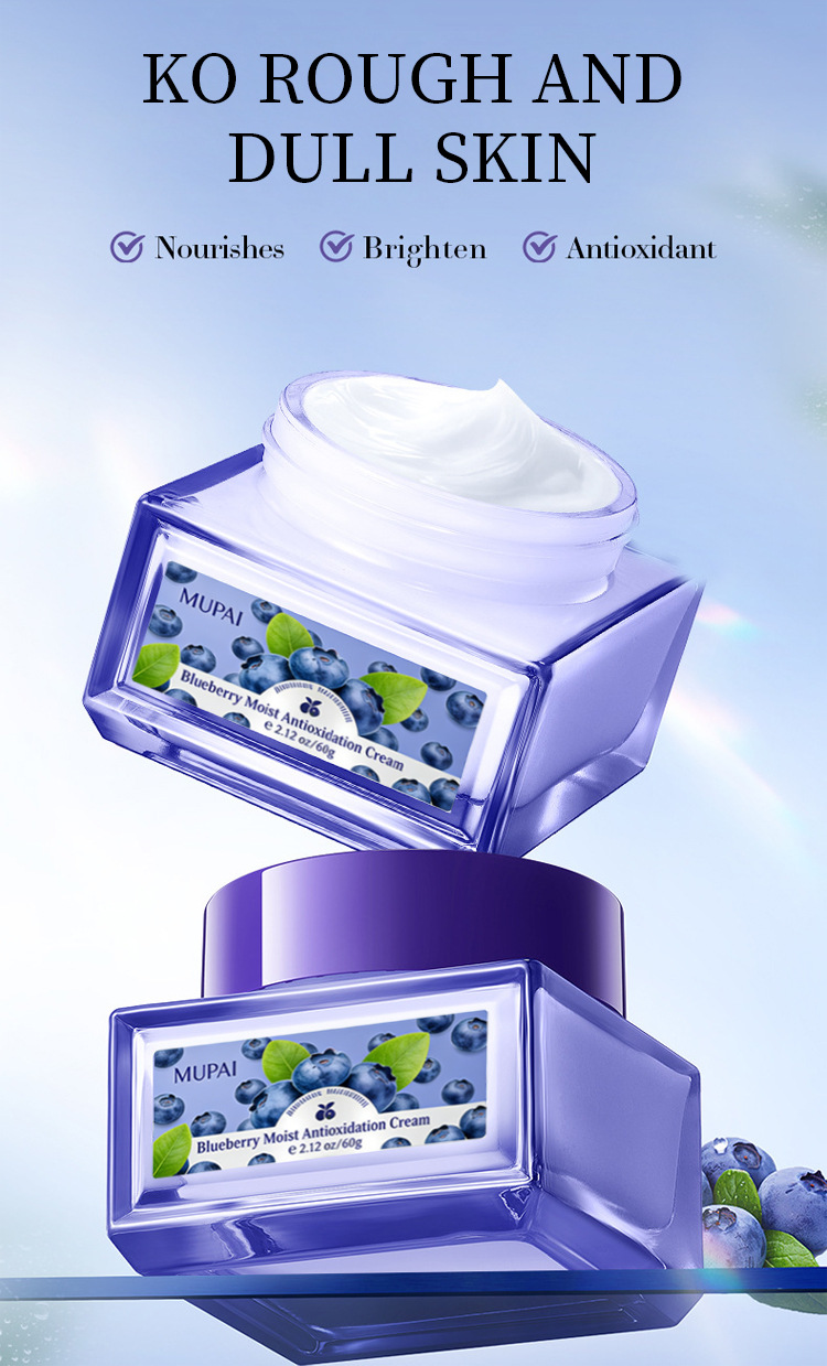 Blueberry Antioxidant Hydrating Cream (2)
