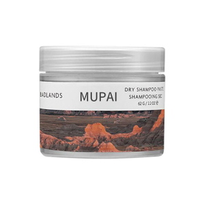 Leave-In Dry Shampoo Spray – Oil Absorbing, Volumizing & Frizz Control Hair Refresher