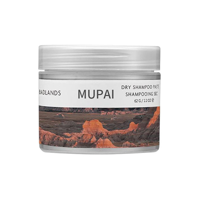 Leave-In Dry Shampoo Spray – Oil Absorbing, Volumizing & Frizz Control Hair Refresher