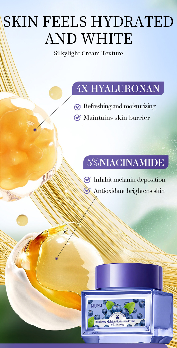 Blueberry Antioxidant Hydrating Cream (3)