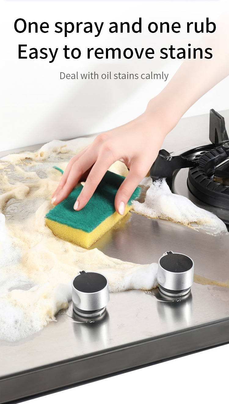 Multi-Purpose Heavy Duty Degreasing Foam Cleaner (2)